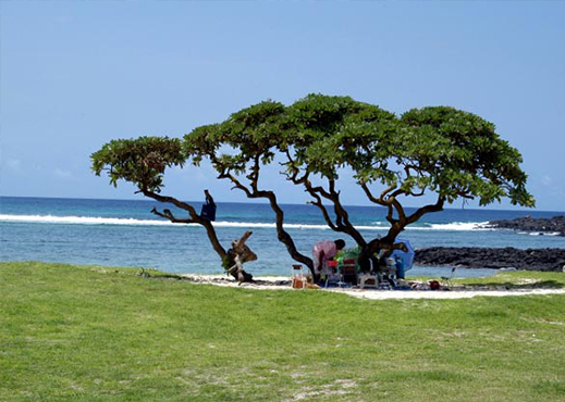 la cambuse ile maurice